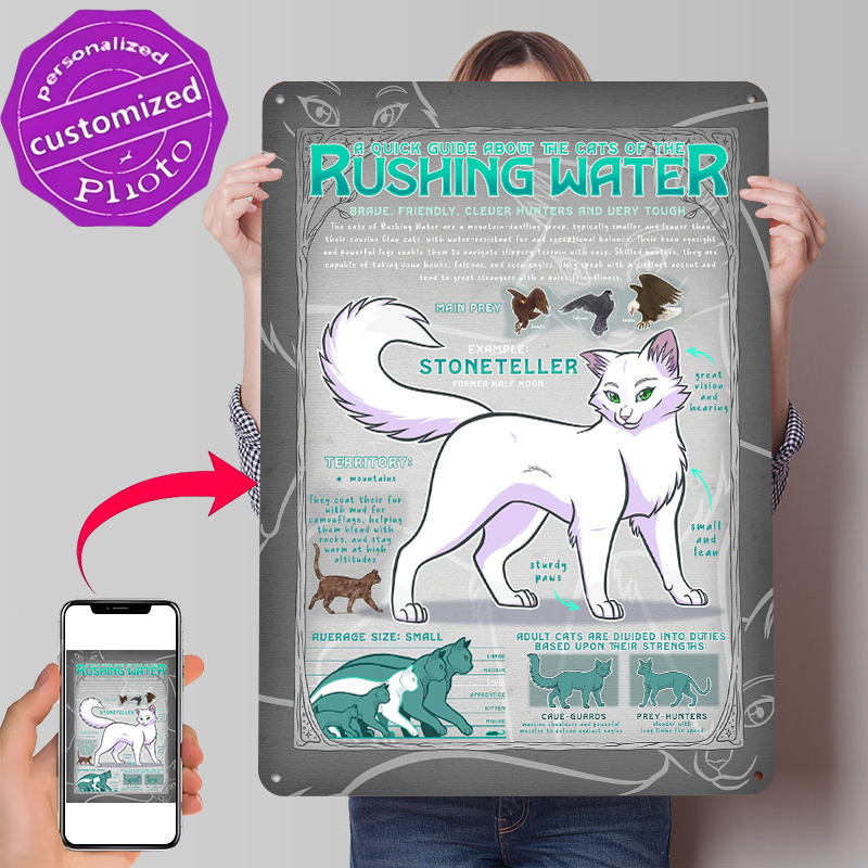 Guide to Rushing Water Cats Ti - Retro Gaming Guide reseña y precio